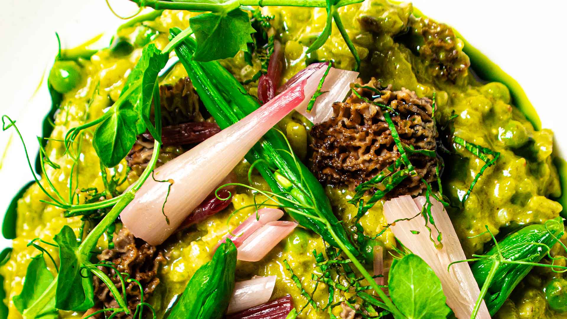 A macro shot of a plated dish with morel mushrooms, spring onions, and pea shoots in a bright green sauce.