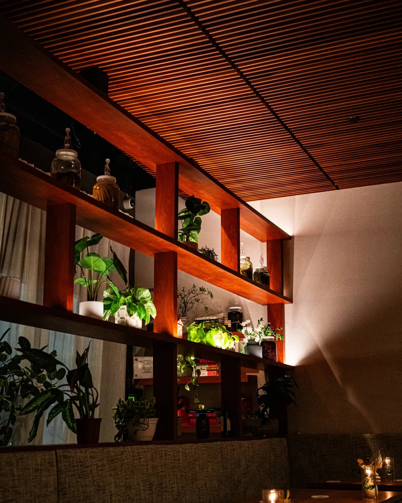 Mei’s dining room: wooden shelves of plants and bottles under warm light